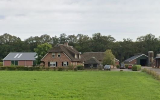 Dak Ten Hove